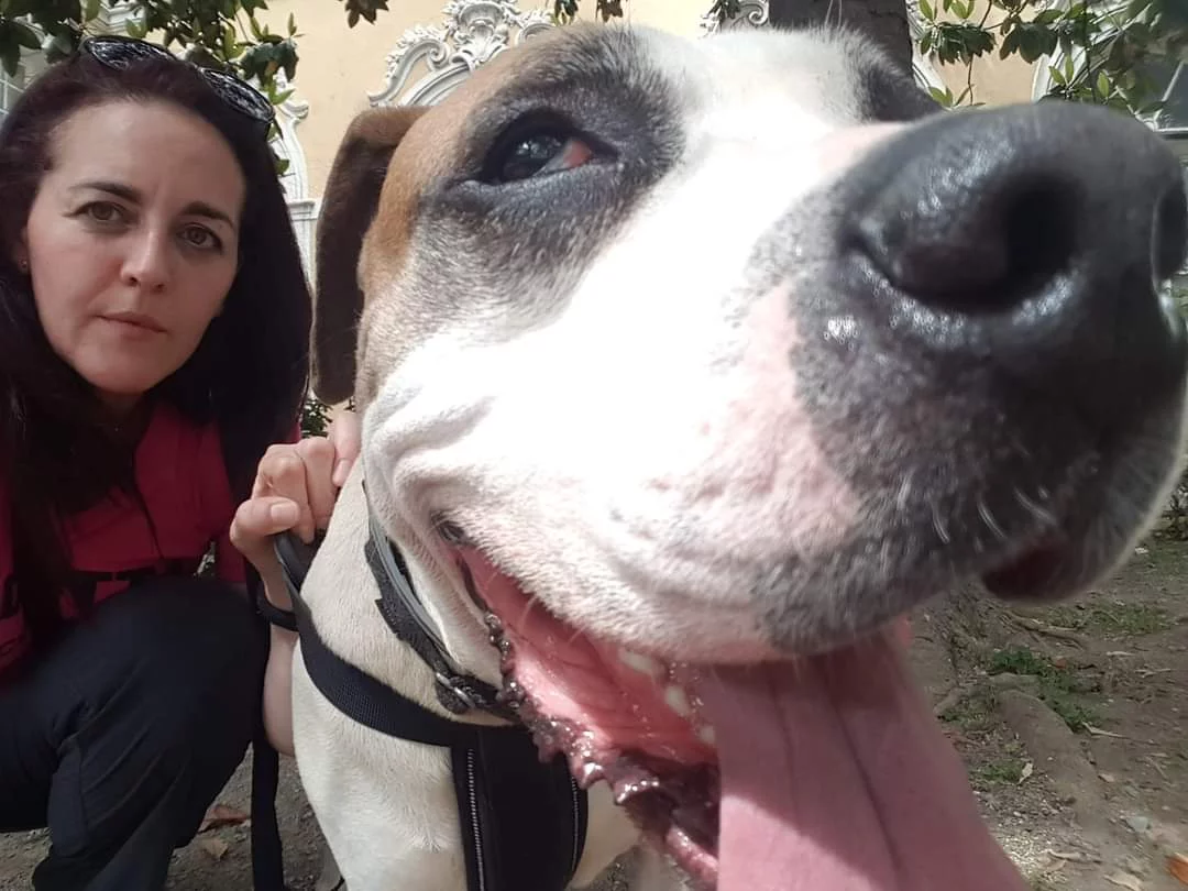 Primo piano di un cane accanto a una donna in un rifugio per animali.
