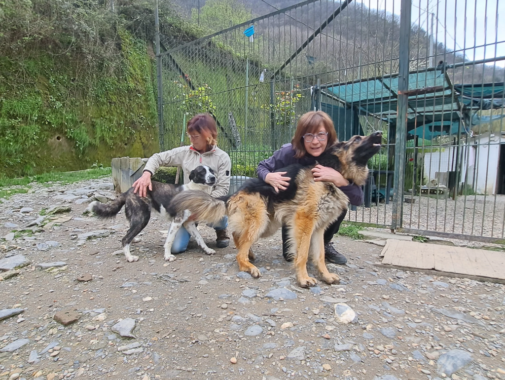Due donne accarezzano i cani nell’area esterna di un rifugio genovese.