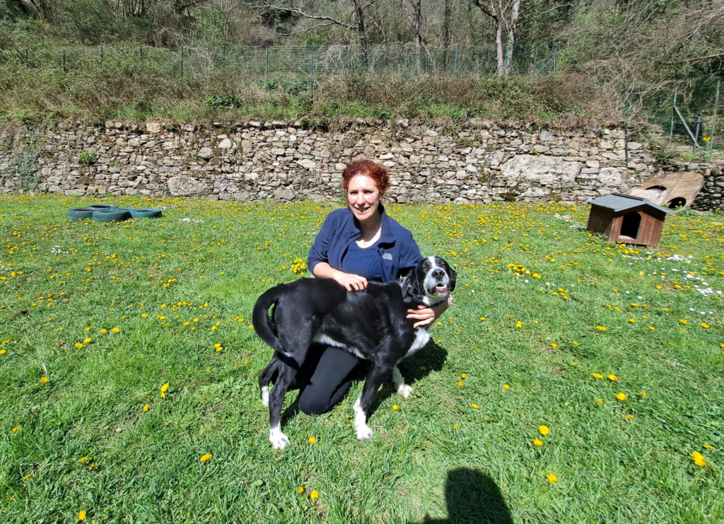 Una donna accarezza un cane nero sul prato di un rifugio.