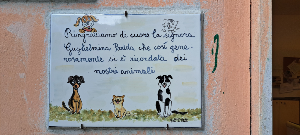 Targa di ringraziamento a una benefattrice del canile, decorata con cani e gatti.