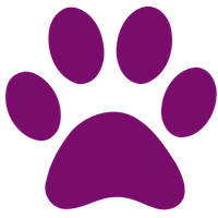 Logo Zampa Animali