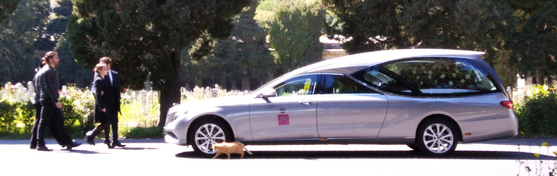 Autofunebre A.Se.F. argentata con un gatto rosso accanto alla ruota anteriore.